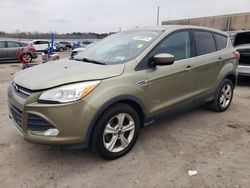 Ford Escape salvage cars for sale: 2013 Ford Escape SE