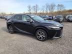 2024 Lexus RX 350 Base