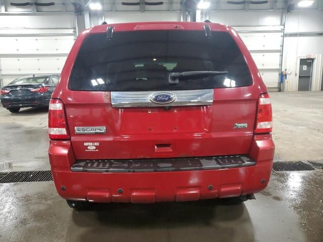 2010 Ford Escape Limited