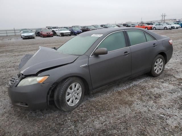 2008 Toyota Camry Hybrid