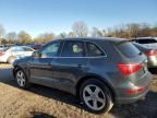 2010 Audi Q5 Premium Plus