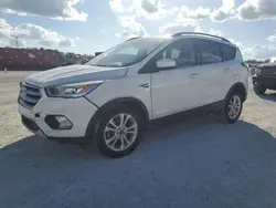 Salvage cars for sale at Arcadia, FL auction: 2017 Ford Escape SE