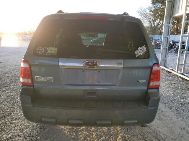 2010 Ford Escape Limited