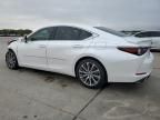 2020 Lexus ES 350