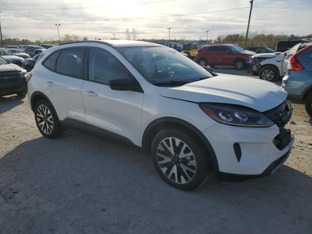 2020 Ford Escape SE Sport