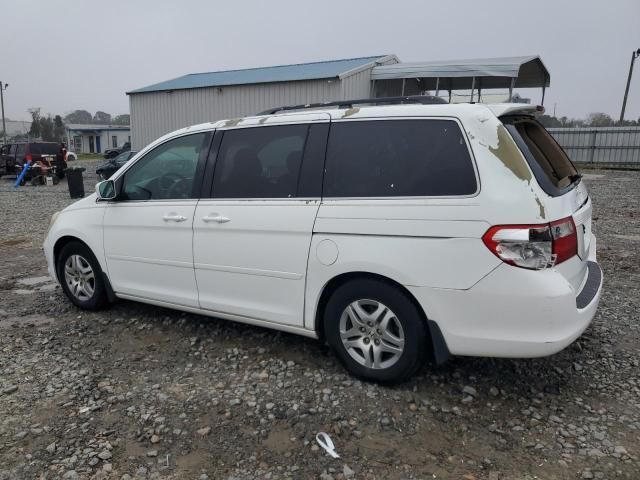 2005 Honda Odyssey EXL