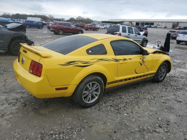 2005 Ford Mustang