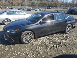 Lexus salvage cars for sale: 2021 Lexus ES 350 Base