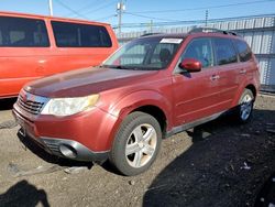 Subaru Vehiculos salvage en venta: 2009 Subaru Forester 2.5X Premium