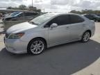 2010 Lexus HS 250H