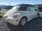 2003 Volkswagen New Beetle GLS