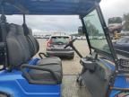 2023 Icon Golf Cart