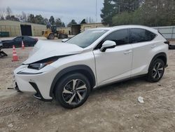 Lexus nx salvage cars for sale: 2020 Lexus NX 300