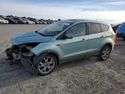 Salvage cars for sale at Antelope, CA auction: 2013 Ford Escape SEL