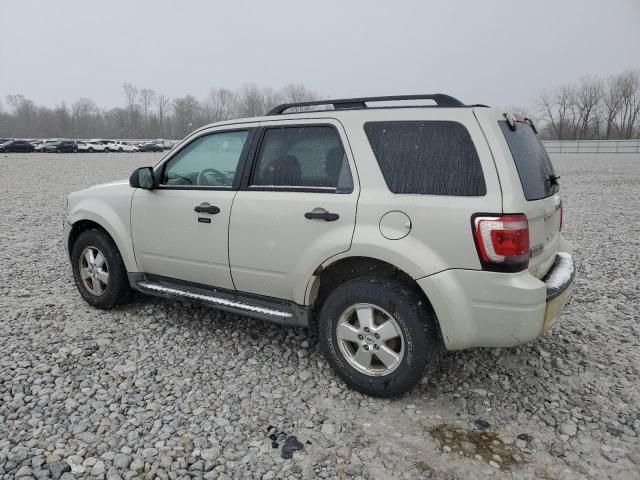 2009 Ford Escape XLT