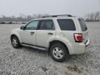 2009 Ford Escape XLT