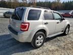 2008 Ford Escape XLT