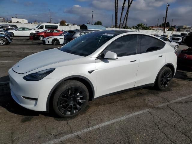 2020 Tesla Model Y