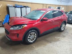 Salvage cars for sale at Kincheloe, MI auction: 2020 Ford Escape SE