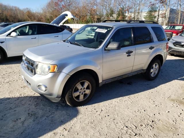 2010 Ford Escape XLT