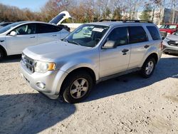 Ford Vehiculos salvage en venta: 2010 Ford Escape XLT