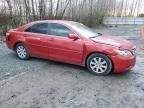 2009 Toyota Camry Hybrid