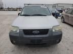 2005 Ford Escape XLT