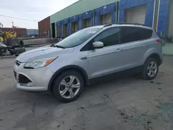 Ford salvage cars for sale: 2013 Ford Escape SE