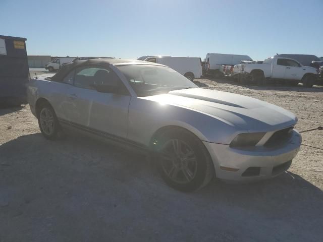 2010 Ford Mustang