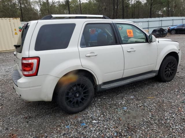 2011 Ford Escape Limited