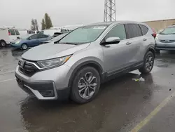 Vehiculos salvage en venta de Copart Hayward, CA: 2020 Honda CR-V EX