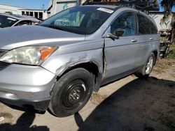 SUV salvage a la venta en subasta: 2011 Honda CR-V EXL