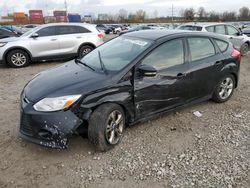 Salvage cars for sale at Columbus, OH auction: 2013 Ford Focus SE