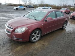 2008 Chevrolet Malibu 2LT en venta en Montreal Est, QC