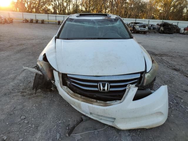 2011 Honda Accord EXL