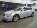 2008 Nissan Maxima SE