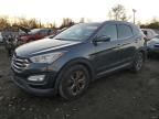 2015 Hyundai Santa FE Sport