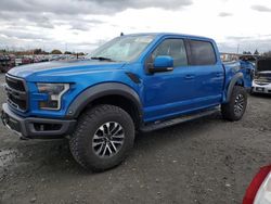 Salvage cars for sale at Eugene, OR auction: 2019 Ford F150 Raptor