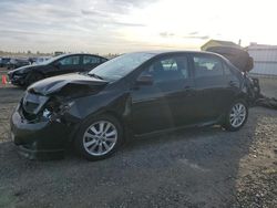 Toyota Vehiculos salvage en venta: 2010 Toyota Corolla Base