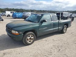 Vehiculos salvage en venta de Copart Harleyville, SC: 1999 Dodge Dakota