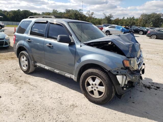 2011 Ford Escape XLS