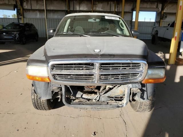 2003 Dodge Dakota Quad SLT