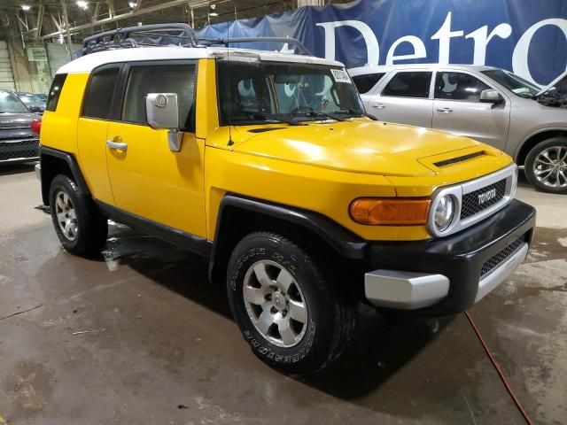 2007 Toyota FJ Cruiser