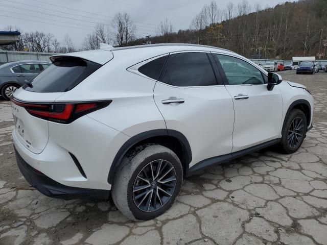 2024 Lexus NX 350 Premium