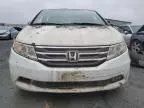 2013 Honda Odyssey EX