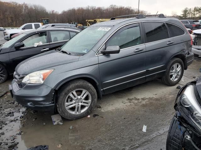 2010 Honda CR-V EXL