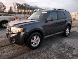 Salvage cars for sale at Spartanburg, SC auction: 2009 Ford Escape XLT