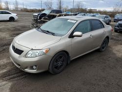 Toyota Vehiculos salvage en venta: 2009 Toyota Corolla Base