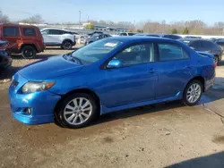 Toyota salvage cars for sale: 2010 Toyota Corolla Base