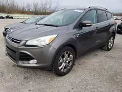 Ford Escape Titanium salvage cars for sale: 2014 Ford Escape Titanium